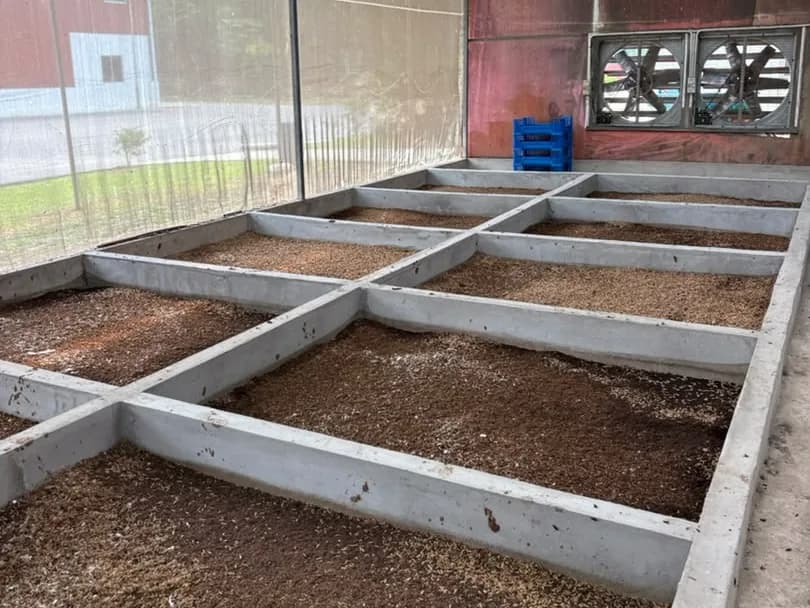 Concrete larvae rearing beds under a shade-net roof, with two large exhaust fans on the far wall